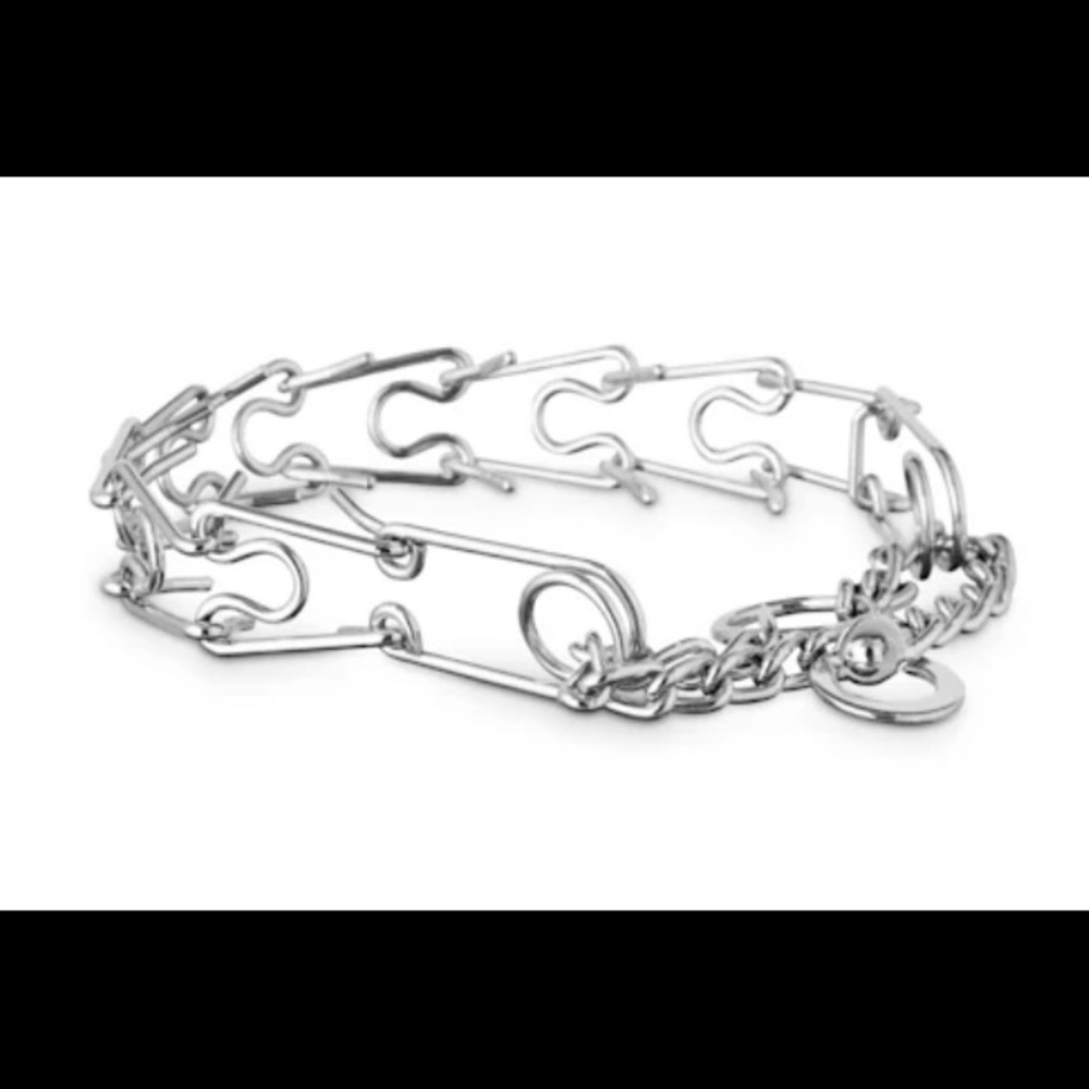 Prong Dog Training Collar Silver